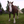 Gallacher the Horse
