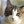 I Lost My Cat
