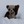 Lucy Bear