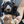 DachshundBlog