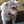 Lucy the Schnoodle