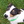 Rat Terrier Rescue