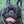 Stoli French Bulldog
