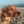 Schooner The Dog