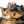 Friend Pets
