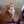 Cute Pets