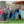LA Volunteers