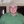 Brendan Rootes