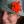 GoodFlorist