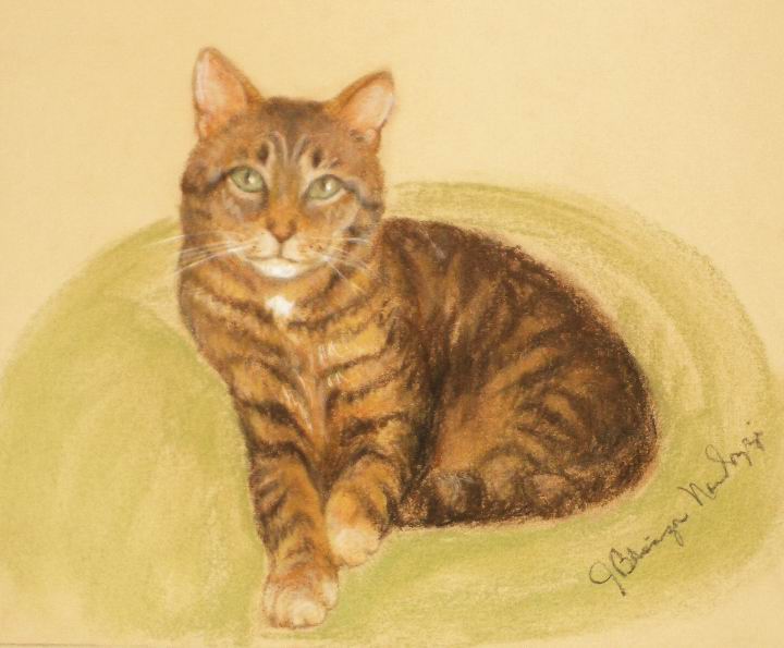COOKIE MAN CAT