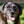 WoodfordHumane