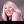 marjorie narey