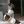 Cottage Collars