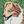 Rusty-Dawg Pet Prods