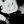 S A Bosely