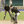 Andrew Miller