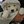ucansavedogs