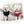 Pampered Pets