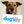 Dog's Life Magazine