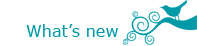Twitter - What's New