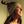 Lidia