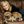Maria Bamford