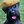 Zorro