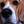 Hunter Beagle
