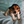 DarwinTheBeagle