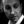Jon Williams
