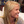 Anna Viele
