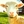 FarmSanctuary
