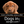 DogsInDanger