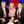 fox & friends