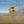 AdventuresToursPeru