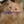 Jack The Lost Cat