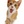petsintouch.com