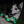 Dog E Glow