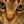 Morris Animal