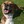 Naperville Humane