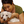 Woof Woof Mama