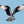 Osprey Flyer ^v^