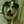 jack a dog
