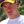 Brian LaFrance