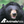 Animals Asia