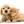 Your Pet Pro