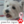 Westies SP