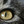 petdoctorforum