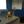 eLearningWA