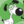 Green Dawg